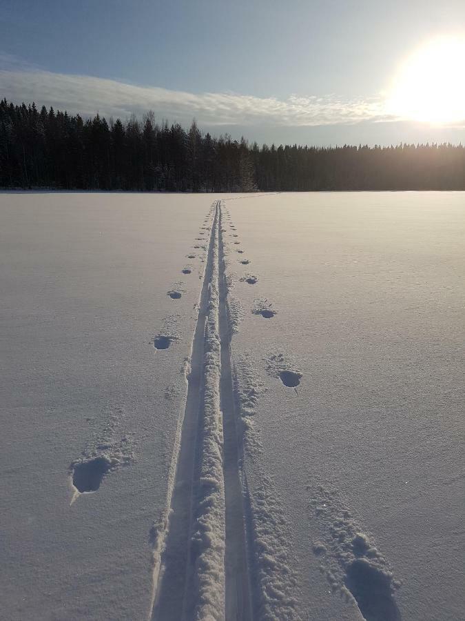 Loma-Paelsilae Lakeside Villa Kuhmoinen Zewnętrze zdjęcie